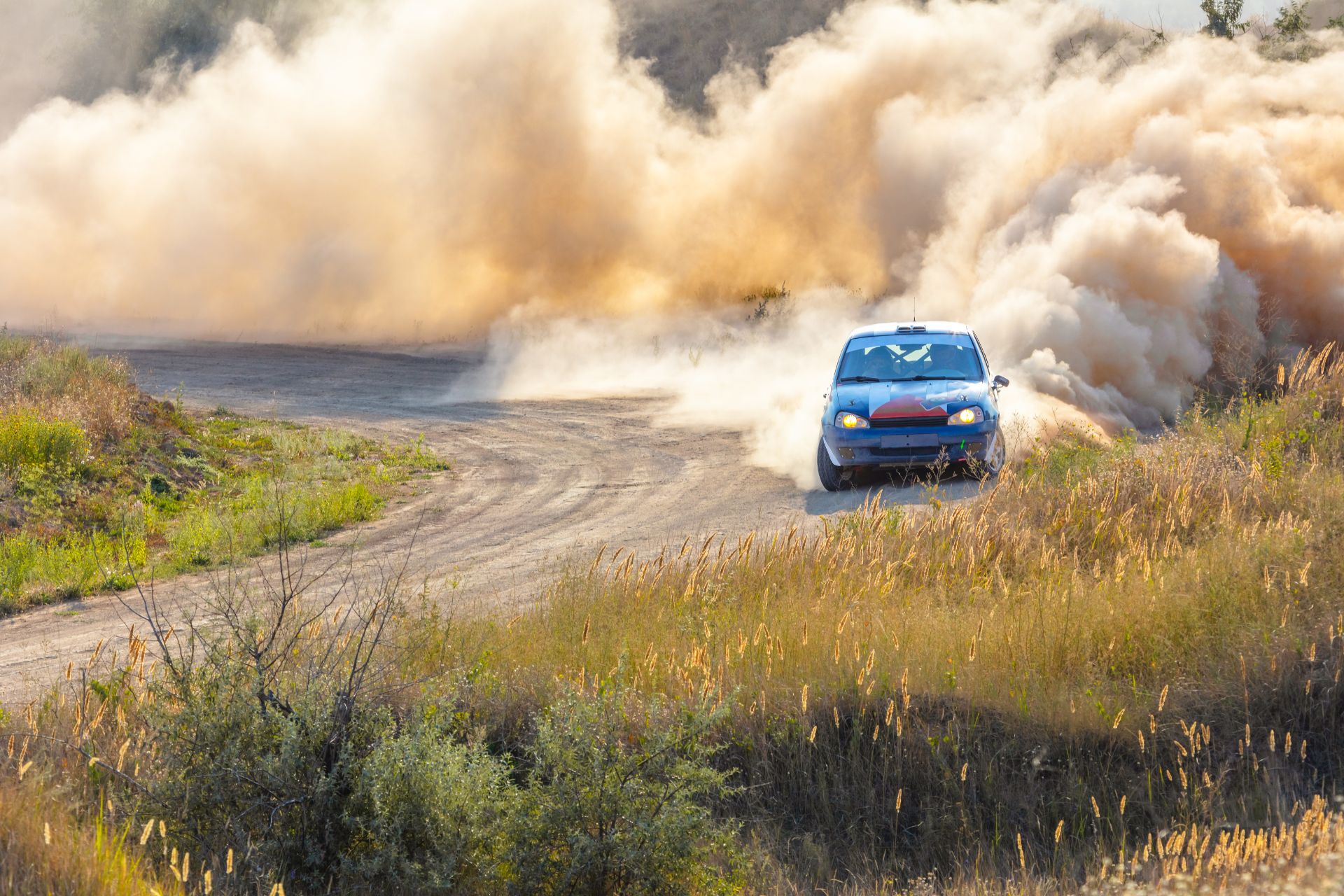 World Rally